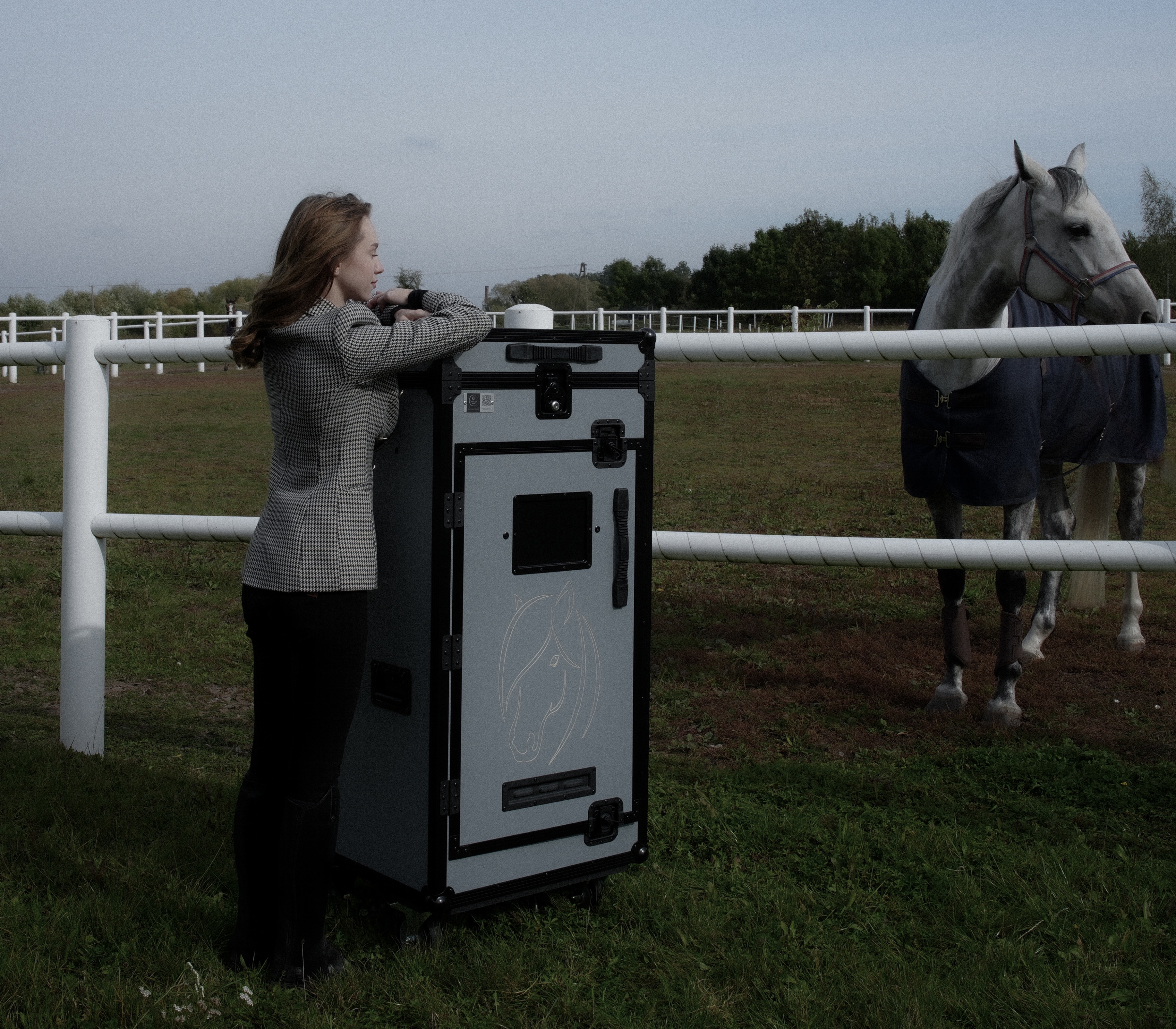 Deckel für Sattelschrank Pony Rider | Cavlux